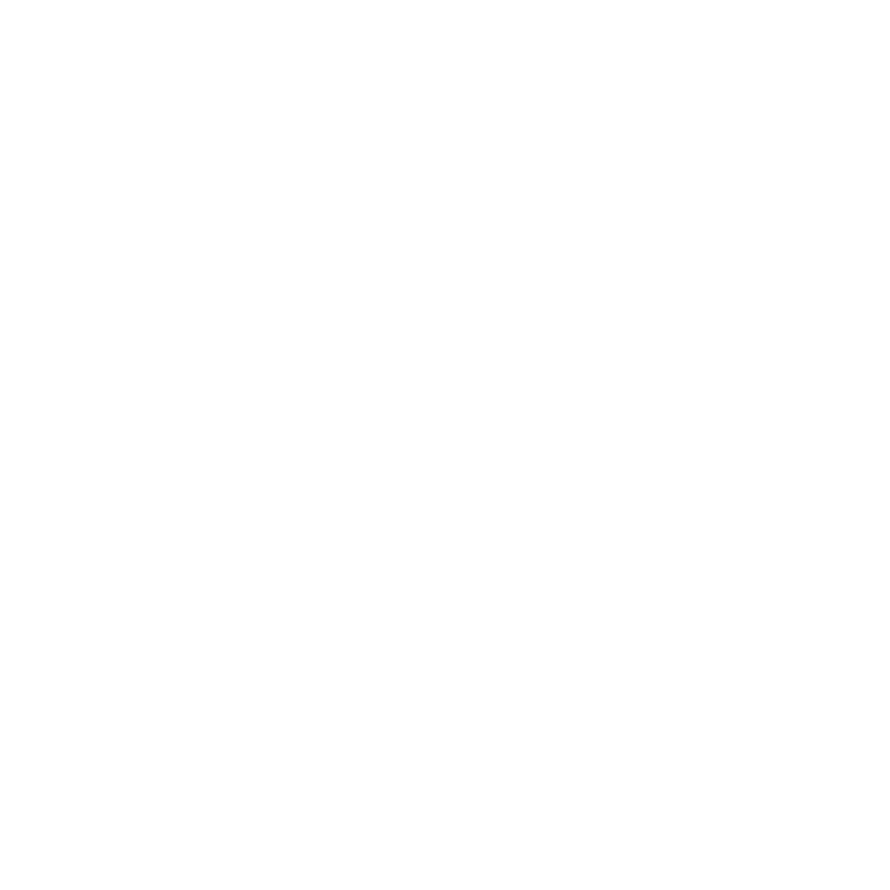 WordPress Database